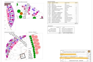 zahrada-skalicka-osazovaci plan